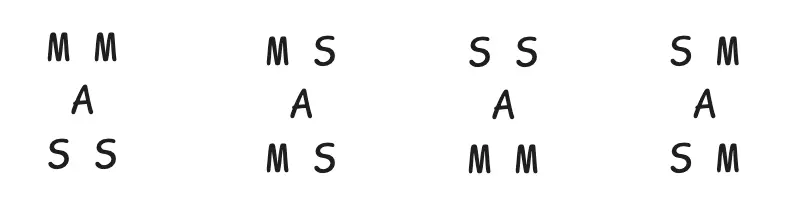 possible combinations of 2 MAS in the shape of an X